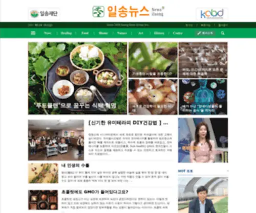 Ilsongnews.com(일송) Screenshot
