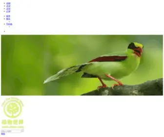 iltaw.com(动物世界) Screenshot