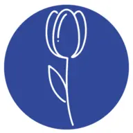 Iltulipano.it Favicon