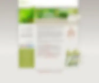 Ima.com(Web) Screenshot