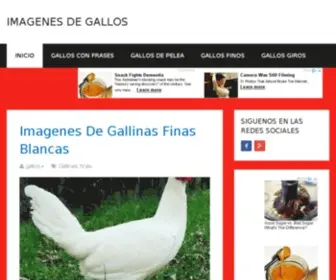 Imagenesdegallos.com(Imagenes De Gallos) Screenshot