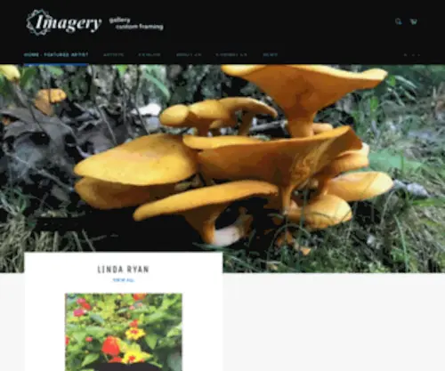 Imageryfinearts.com(Shop Imagery Fine Arts) Screenshot