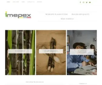 Imepex.com(Imepex S.A.S) Screenshot