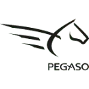 Immobiliarepegaso.it Favicon