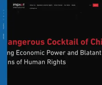 Impactpolicies.org(ImpACT International for Human Rights Policies) Screenshot