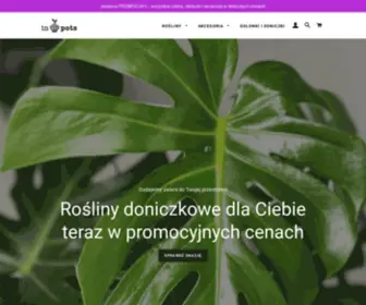 IN-Pots.com(Rośliny) Screenshot