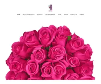 InbloomGroup.com(InBloom Group) Screenshot