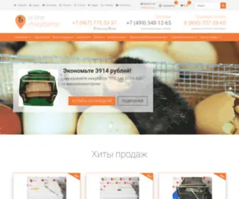 Incubonline.ru Screenshot