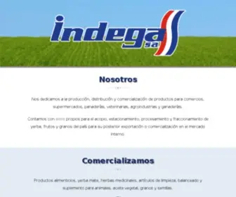 Indega.com.py(Indega S.A) Screenshot