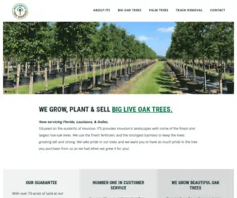 Independenttrees.com(Independent Tree Services) Screenshot