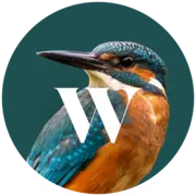 Index.ug Favicon