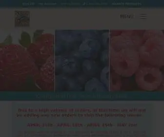 Indianaberry.com(Bare Root Strawberry Plants) Screenshot