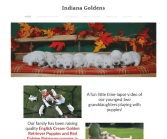 Indianagoldens.com(Indiana Goldens) Screenshot