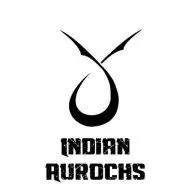 Indianaurochs.com Favicon