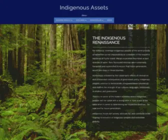 Indigenousassets.com(Wampeso) Screenshot