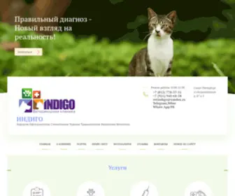 Indigo-SPB.ru(Ветеринарная клиника Индиго) Screenshot