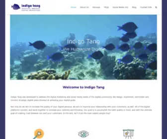 Indigotang.com(Indigo Tang) Screenshot