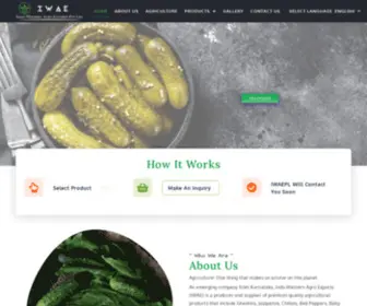 Indowesternagroexport.com(Gherkins manufacturer in India) Screenshot