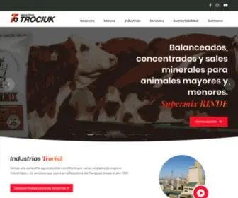 Industriastrociuk.com(Bienvenido) Screenshot