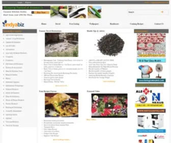 Indyabiz.com(Indyabiz) Screenshot