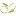 Infaoliva.com Favicon