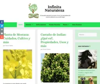 Infinitanaturaleza.com(Infinita Naturaleza) Screenshot