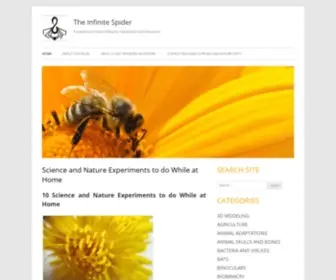 Infinitespider.com(The Infinite Spider) Screenshot