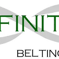 Infinitybelting.com Logo