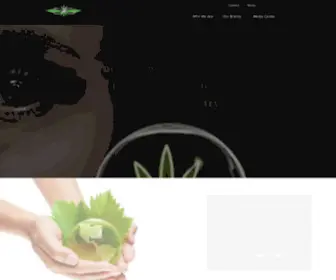 Infinitybrandsinc.com(Infinity Inc) Screenshot