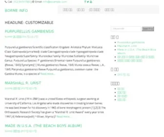 Infoborme.com(Empresas) Screenshot