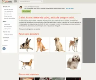 Infocaini.ro(Portal dedicat iubitorilor de caini) Screenshot