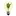 Infohemp.com Favicon