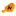 Infos-Niger.com Logo