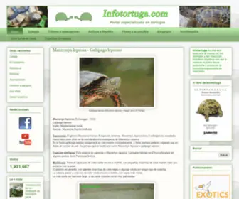 Infotortuga.com(Infotortuga) Screenshot