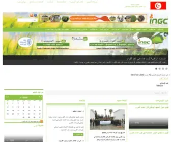 INGC.com.tn(INGC) Screenshot