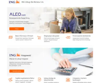 Ingdlabiznesu.pl(Ing bank śląski) Screenshot