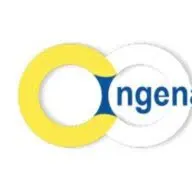 Ingenalse.cl Favicon