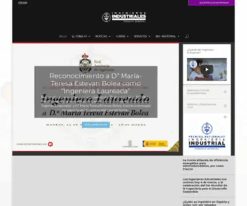 Ingenierosindustriales.net(Consejo General de Colegios Oficiales de Ingenieros Industriales) Screenshot