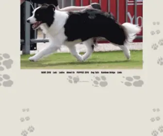 Ingenuebordercollies.com(INGENUE Border Collies Est) Screenshot