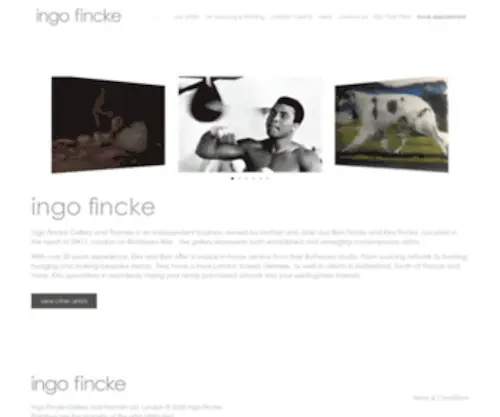 Ingofincke.com(Ingo Fincke) Screenshot