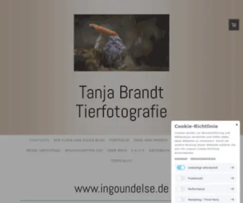 Ingoundelse.de(Startseite) Screenshot