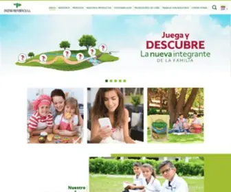 Ingprovidencia.com(Ingenio Providencia S.A) Screenshot