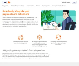 Ingsepa.com(Become SEPA Proof with ING) Screenshot