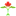Inmylanguage.org Favicon