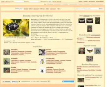 Insecta.pro(Insects (Insecta) of the World) Screenshot