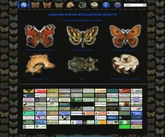 Insectamo.ru(Бабочки) Screenshot