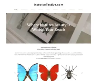 Insectcollective.com(Shane Morris Insectcollective) Screenshot