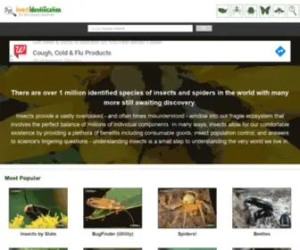 Insectidentification.org(Insect and Spider Identification) Screenshot