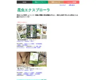 Insects.jp(身近な昆虫たちの世界を楽しむため) Screenshot