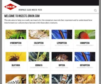 Insects.org(DNS Update Required) Screenshot